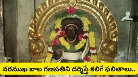 తొండం లేని వినాయకుడు ఎక్కడ ఉన్నాడు? ప్రపంచంలోనే అరుదైన నరముఖ..