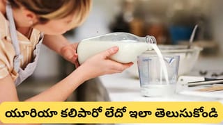 మీరు తాగే పాలు స్వచ్ఛమైనవేనా? ఇంట్లోనే ఈ 5 సులభ పరీక్షలతో కల్తీ పాలను గుర్తించండి