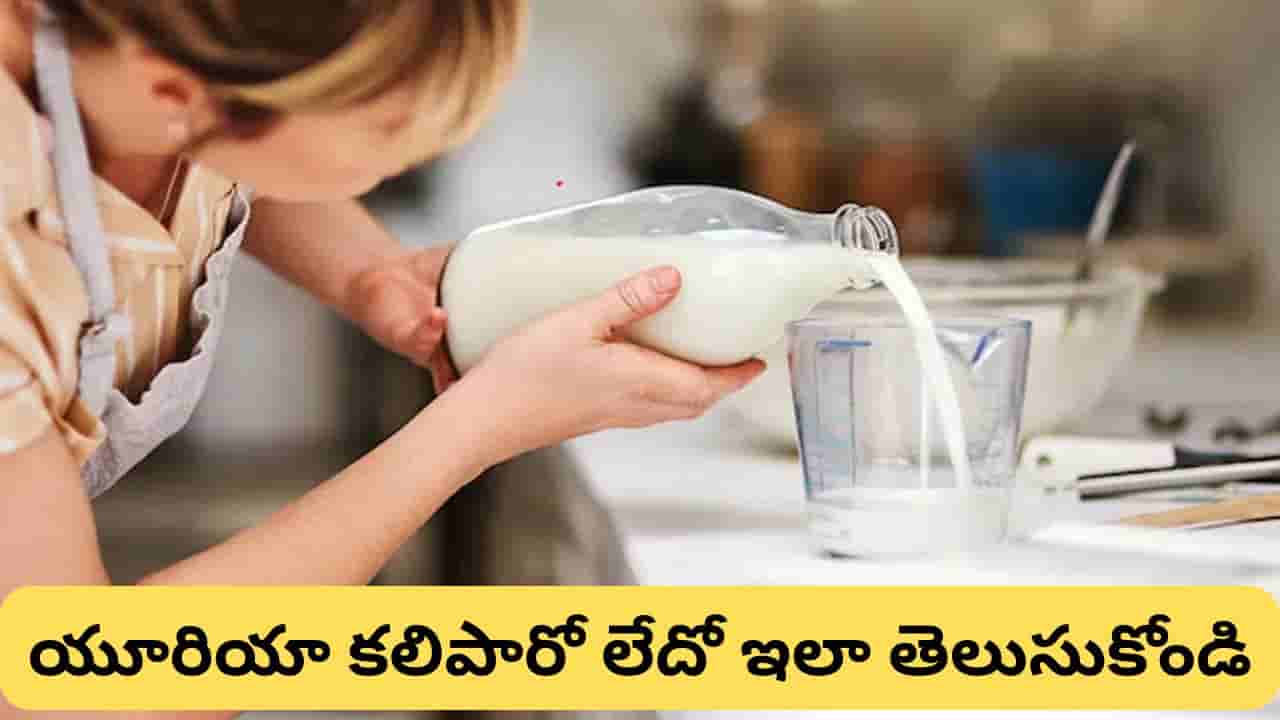 మీరు తాగే పాలు స్వచ్ఛమైనవేనా? ఇంట్లోనే ఈ 5 సులభ పరీక్షలతో కల్తీ పాలను గుర్తించండి