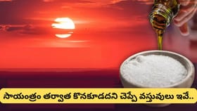 సూర్యాస్తమయం తర్వాత ఈ 6 వస్తువులు కొనొద్దు.. లక్ష్మీదేవి..
