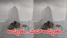 అద్భుతం.. మహా అద్భుతం.. ఇంట్లో వెలసిన మంచు శివలింగం!