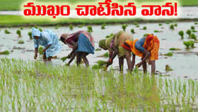 జూలై నెలలోనూ నిరాశే.. వర్షాలు అంతంత మాత్రమే!