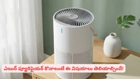 ఇంట్లోని గాలిని ప్యూరిఫై చేస్తున్నారా?