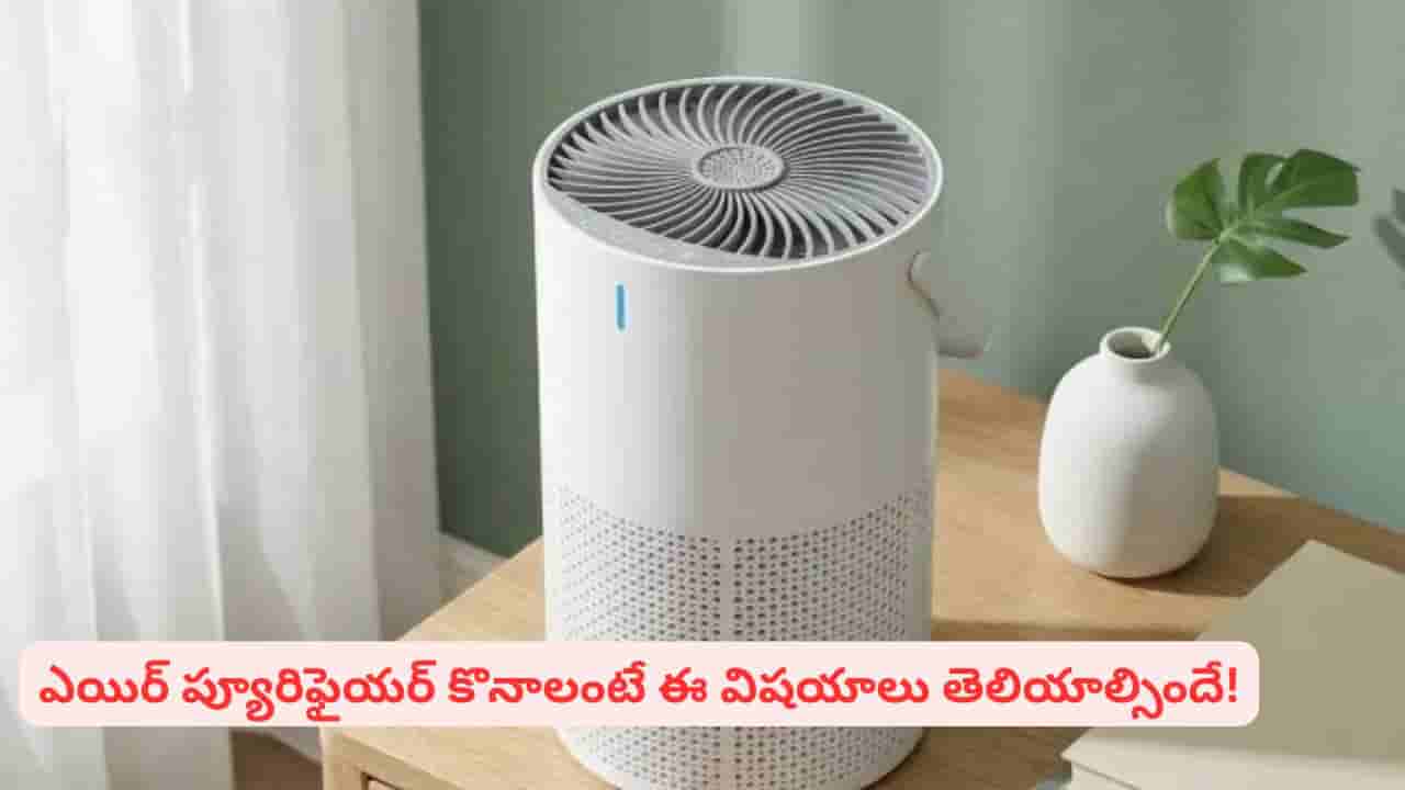 ఎయిర్ ప్యూరిఫైయర్ కొనేముందు ఈ విషయాలు తెలుసుకోండి లేదంటే నష్టపోతారు