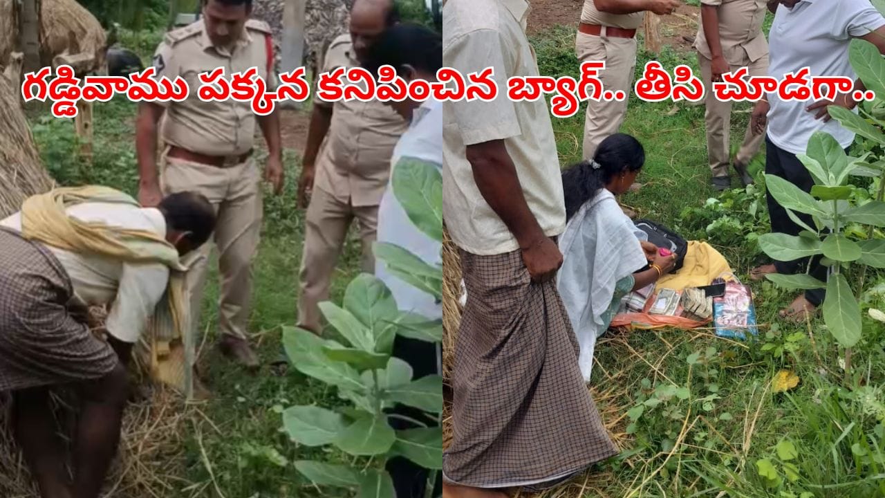 Andhra News: గడ్డి వాము పక్కన కనిపించిన నల్లటి బ్యాగ్.. ఏంటని ఓపెన్ చేసి చూడగా..