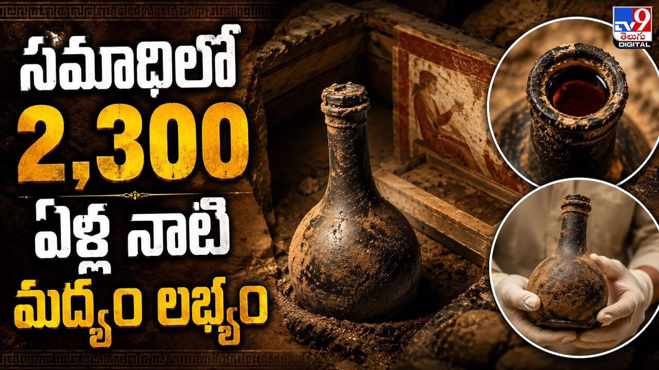 సమాధిలో 2,300 ఏళ్ల నాటి మద్యం లభ్యం