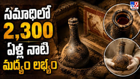 సమాధిలో 2,300 ఏళ్ల నాటి మద్యం లభ్యం