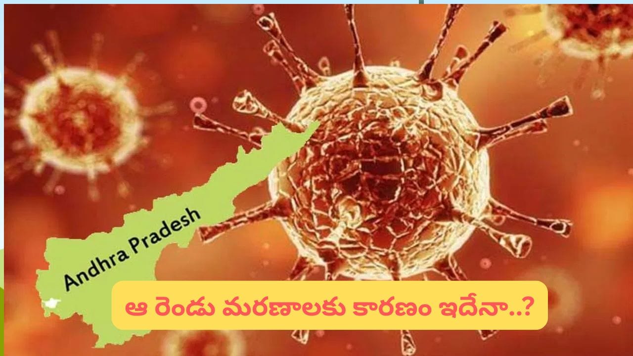 Fact Check: ఏపీలో కరోనా కలకలం.. ఇద్దరు కోవిడ్‌తో చనిపోయారా? ప్రభుత్వానికి సమాచారం లేదా? నిజం ఏంటి?