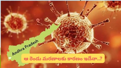 ఏపీలో కరోనా కలకలం.. ఇద్దరు కోవిడ్‌తో చనిపోయారా? ప్రభుత్వానికి..