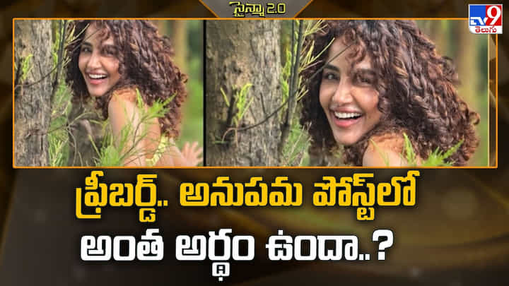 Anupama Parameswaran: ‘నా గొంతు నేనే వినిపిస్తా’.. అనుపమ ఎమోషనల్ పోస్ట్ వెనక అసలు కథ ఏంటి? Anupama Parameswaran: ‘నా గొంతు నేనే వినిపిస్తా’.. అనుపమ ఎమోషనల్ పోస్ట్ వెనక అసలు కథ ఏంటి?