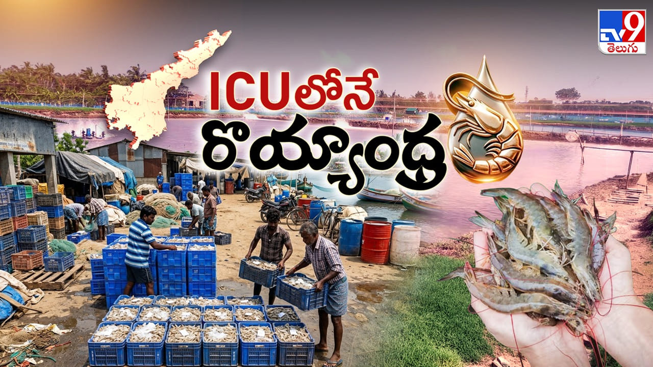 Ap Aquaculture