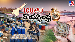 Aquaculture: ఏపీలో ఆక్వా రైతుల దుస్థితికి కారణం ఏంటి..? గట్టెక్కేది ఎలా..?