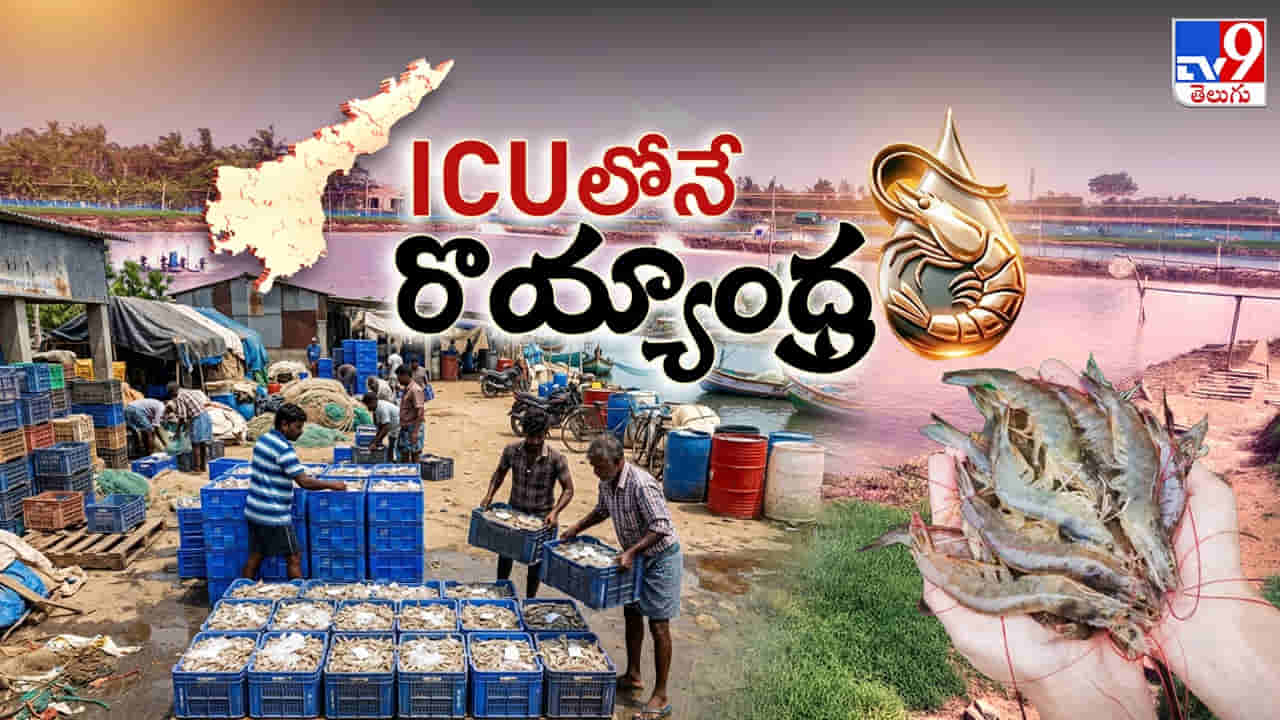 Aquaculture: ఏపీలో ఆక్వా రైతుల దుస్థితికి కారణం ఏంటి..? గట్టెక్కేది ఎలా..?