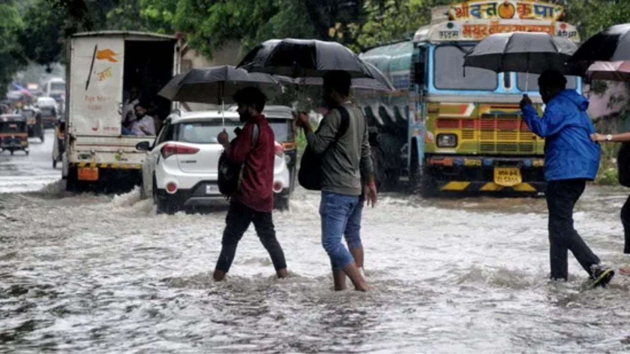 ఇక దక్షిణ కోస్తా ఆంధ్ర ప్రదేశ్లోని చాలా జిల్లాల్లో రాబోయే శని, ఆదివారాల్లో తేలికపాటి నుండి మోస్తరు వర్షాలు లేదా ఉరుములతో కూడిన జల్లులు కొన్ని కురిసే అవకాశముందని తెలిపింది. అలాగే భారీ వర్షాలు కురిసే సమయంతో ఉరుములు, మెరుపులతో పాటు సుమారు గంటకు 40 -50 కిలోమీటర్ల వేగముతో ఈదురుగాలులు కూడా వీచే అవకాశం ఉందని తెలిపింది.