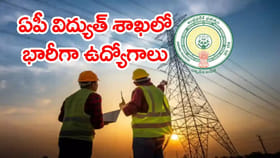 విద్యుత్ శాఖలో కొలువు కొట్టే ఛాన్స్.. APEPDCLలో భారీగా ఉద్యోగాలు