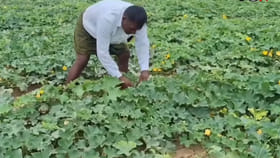 రైతన్నూలు.. ఇది మీకు ఉపయోగపడుతుంది అనుకుంట.. ఓ పాలి చూడండి..
