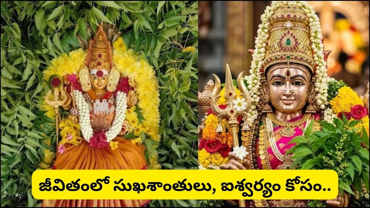 ఆషాఢ మాసంలో అమ్మవారికి ఏ రంగు చీర సమర్పించాలి? ఏ రంగుకు ఎలాంటి ఫలితం ఉందో తెలుసా?