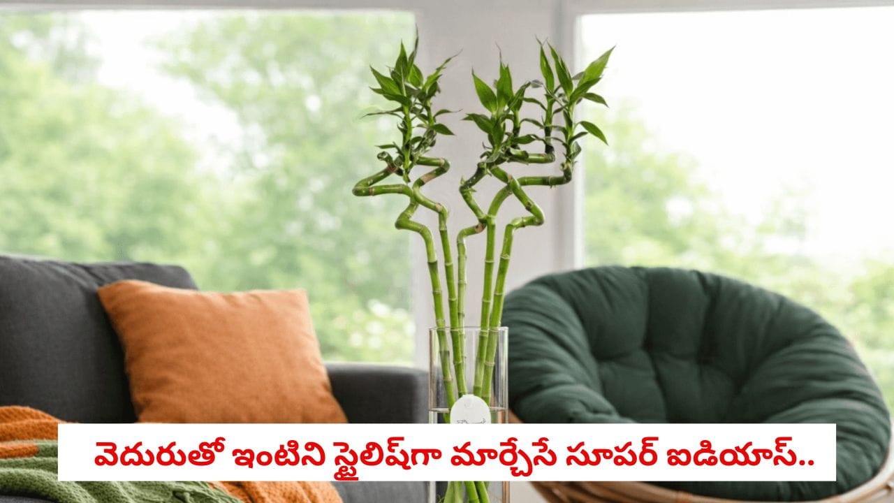 Eco Friendly Decor: వెదురుతో ఈ చిన్న డెకర్ టిప్స్తో మీ ఇల్లు రాయల్ లుక్లోకి మారిపోతుంది!