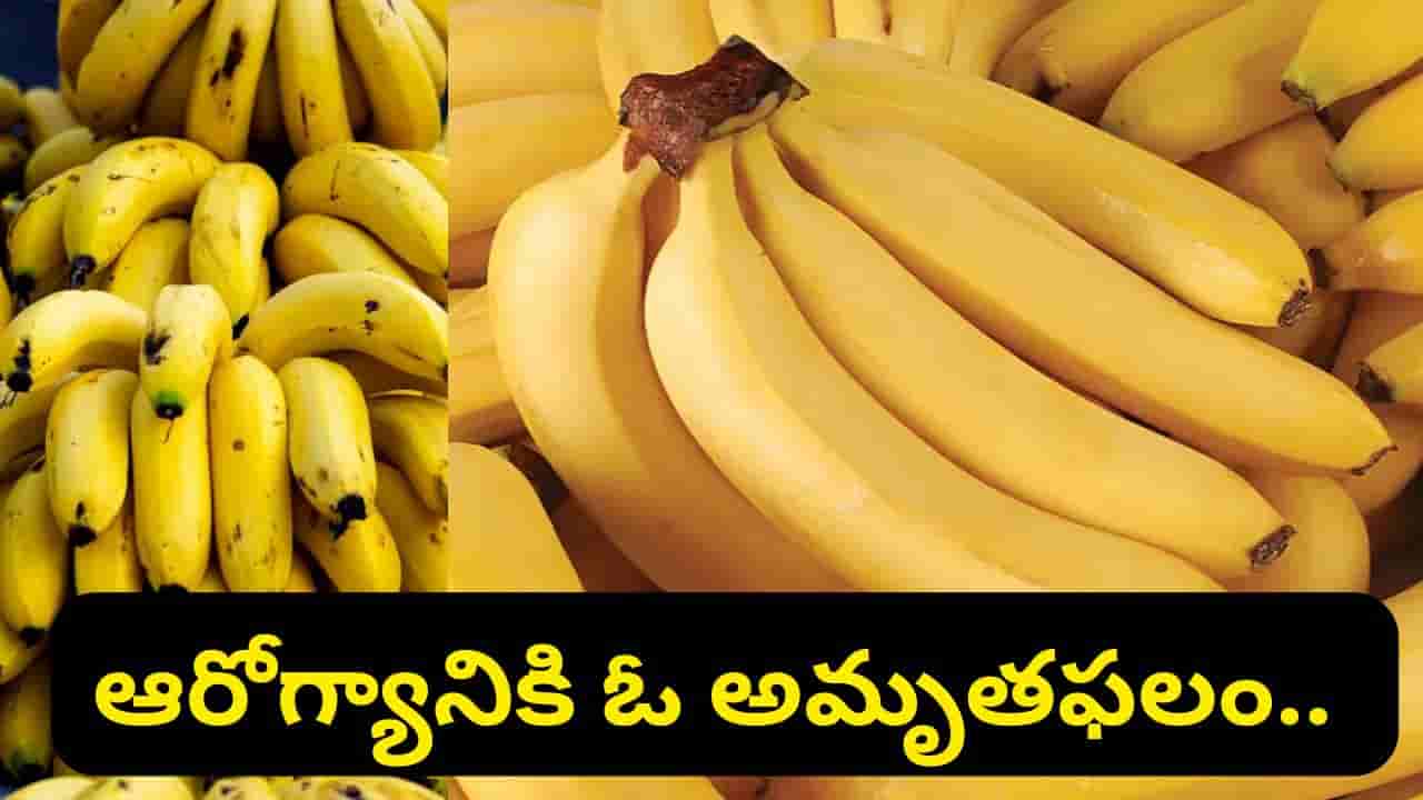 అరటిపండు తింటే కలిగే ఈ 5 ఆరోగ్య ప్రయోజనాల గురించి మీకు తెలుసా..?