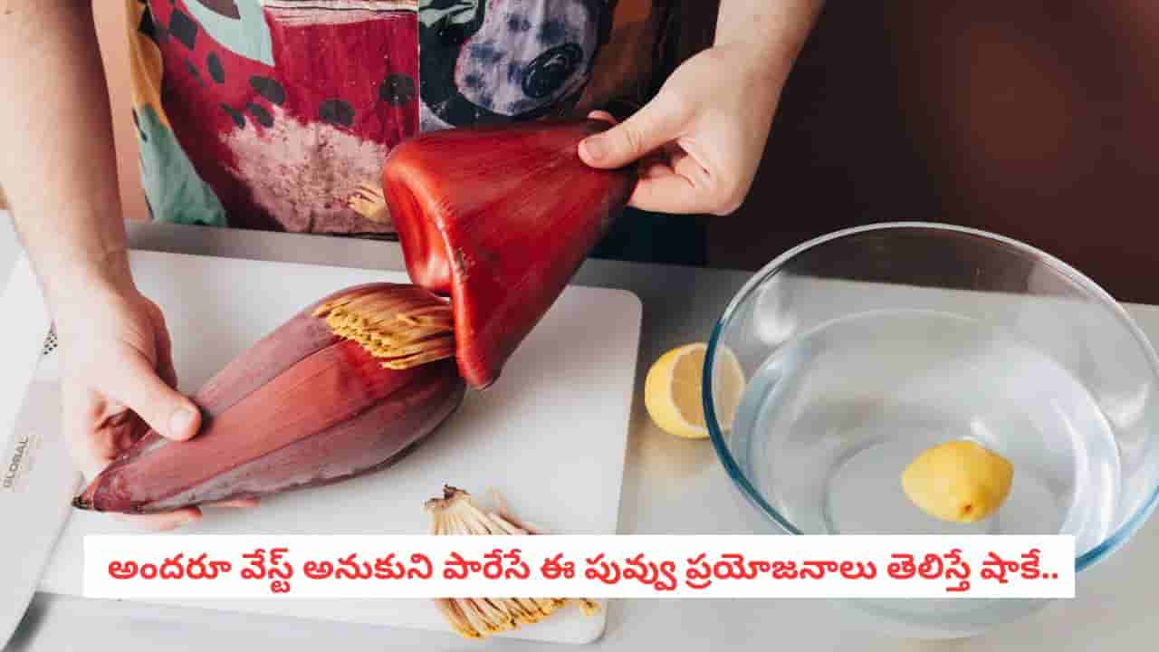 Diabetic Diet: మధుమేహులకు సంజీవని.. ఇన్సులిన్ పెంచుతూ బ్లడ్ షుగర్ను అదుపు చేసే నాచురల్ రెమెడీ!