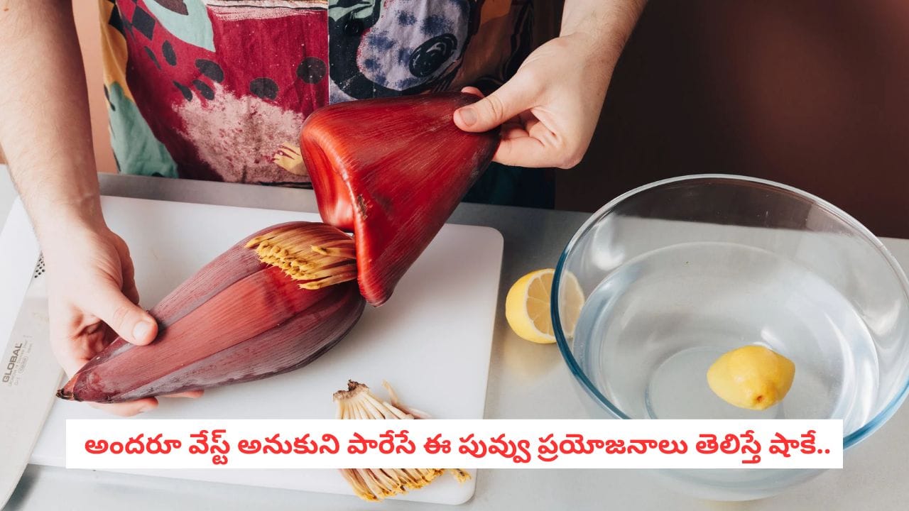 Diabetic Diet: మధుమేహులకు సంజీవని.. ఇన్సులిన్ పెంచుతూ బ్లడ్ షుగర్ను అదుపు చేసే నాచురల్ రెమెడీ!
