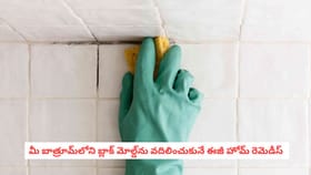 మీ బాత్రూమ్‌లోని బ్లాక్ మోల్డ్‌ను వదిలించుకునే ఈజీ హోమ్ రెమెడీస్