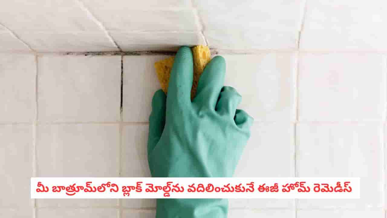 Cleaning Hacks: బాత్రూమ్ వాల్స్ కు ఈ బ్లాక్ మోల్డ్ కనిపిస్తే అస్సలు లేట్ చేయకండి.. ఇలా చేస్తే దెబ్బకు మొత్తం క్లీన్!
