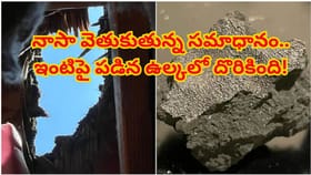 ఇంటి బెడ్‌రూమ్‌లో పడిన ఉల్క.. భూమిపై జీవం పుట్టుకపై సంచలన నిజాలు!
