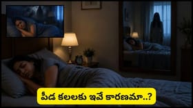 తరచూ పీడకలలు వస్తున్నాయా? బెడ్‌రూమ్‌లో ఈ తప్పులు అస్సలు చేయొద్దు!