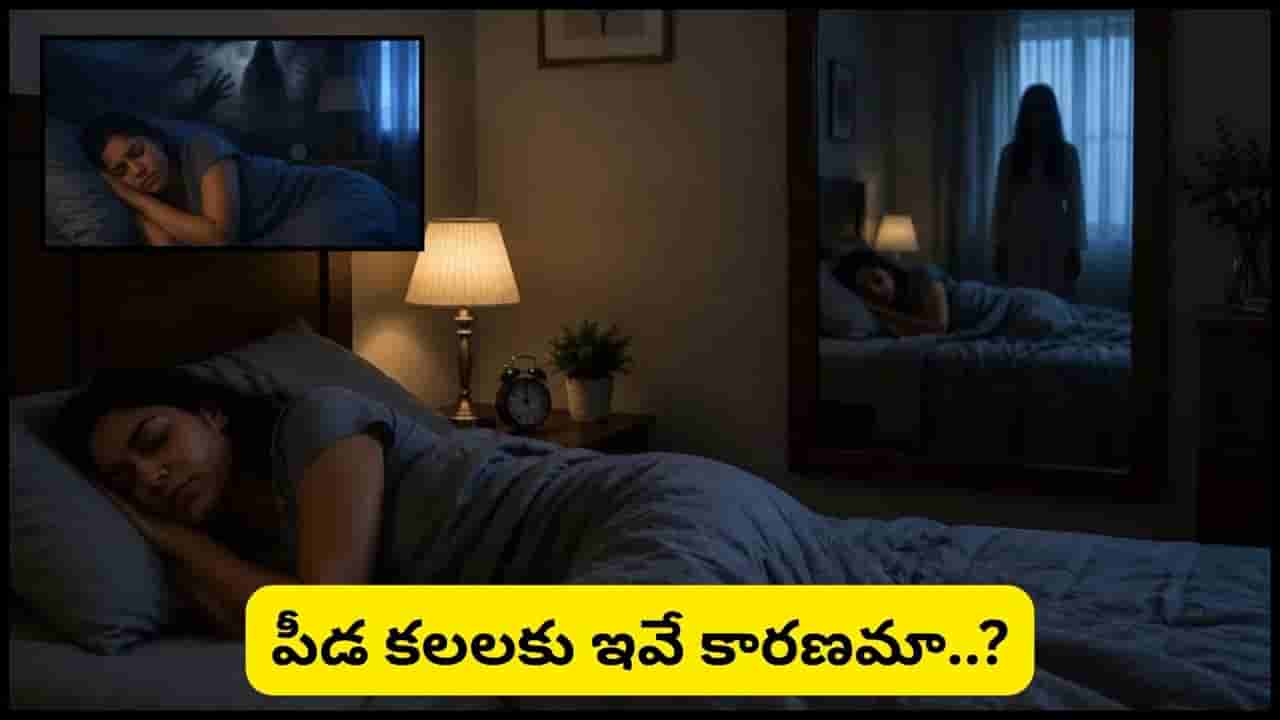 Vastu Tips: తరచూ పీడకలలు వస్తున్నాయా? బెడ్రూమ్లో ఈ తప్పులు అస్సలు చేయొద్దు!