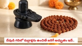 దేవుడి గదిలో రుద్రాక్షను ఉంచితే జరిగే అద్భుతం ఇదే..