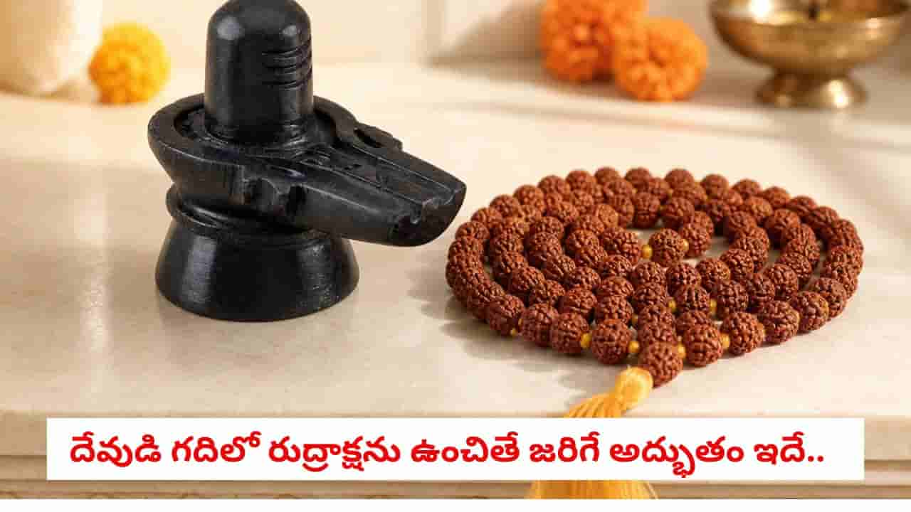Rudraksha Power: మీ ఇంట్లో నెగటివ్ ఎనర్జీ వేధిస్తోందా?.. గుమ్మం వద్ద ఈ ఒక్కటి ఉంచితే చేతబడి, దృష్టి దోషాలు గాయబ్!