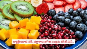 బ్యాక్టీరియాకు చెక్.. వర్షాకాలంలో ఈ పండ్లను డోంట్ మిస్..