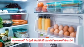 వర్షాకాలంలో మీ ఫ్రిజ్‌ టెంపరేచర్ ఎంతలో ఉంచాలో తెలుసా!