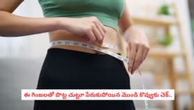 ఈ గింజలతో పొట్ట చుట్టూ పేరుకుపోయిన మొండి కొవ్వుకు చెక్..