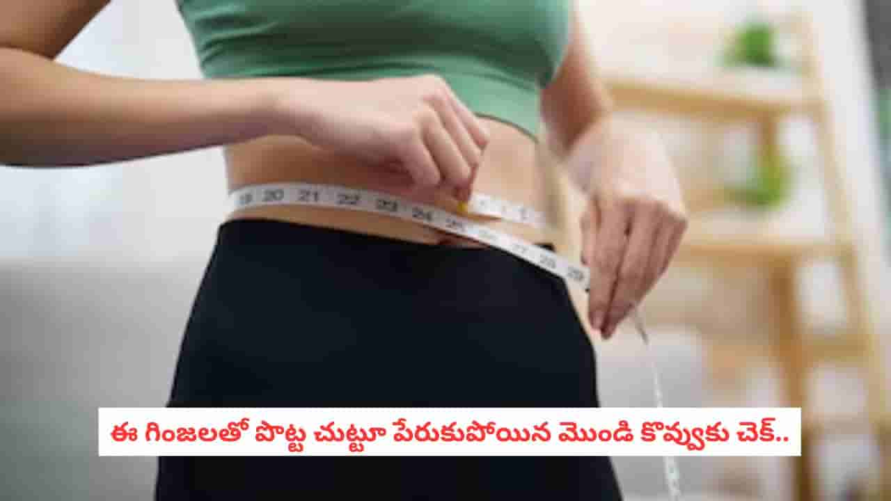 Weight Loss Seeds: కొవ్వును వెన్నలా కరిగించే సూపర్ సీడ్స్.. రోజువారీ డైట్లో ఇవి ఉంటే బరువు తగ్గడం భలే ఈజీ!