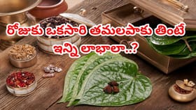 తలనొప్పికి తమలపాకు మంత్రం.. ఒత్తిడి, జీర్ణక్రియ సమస్యలకు చెక్!