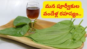 ఈ ఒక్క ఆకుతో వందల రోగాలు నయం.. మన పూర్వీకుల హెల్త్ సీక్రెట్ ఇదిగో