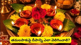 తమలపాకుపై దీపం ఇలా వెలిగిస్తే.. లక్ష్మీ కటాక్షంతో ఆర్థిక స్థిరత్వ