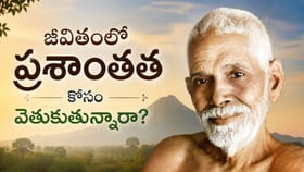 ఆనందం+మనశ్శాంతికి కేరాఫ్ ఆదే..! రమణ మహర్షి గొప్ప సందేశం