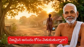నిజమైన ఆనందం ఎక్కడ ఉంది..? రమణ మహర్షి చెప్పిన అద్భుత సత్యం!