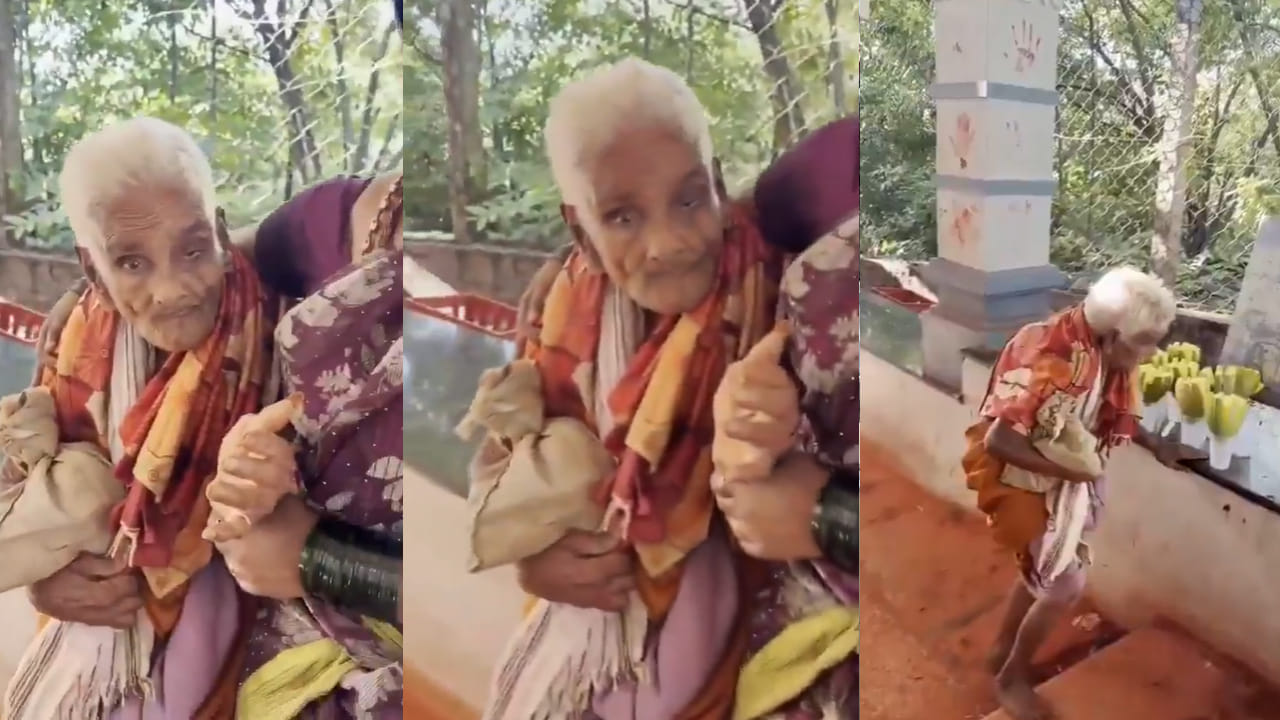 వెంకన్న దయ.. తన సంకల్పం.. 116 ఏళ్ల వయస్సులోనూ ఎంచక్కా తిరుమల కొండ ఎక్కేసింది..