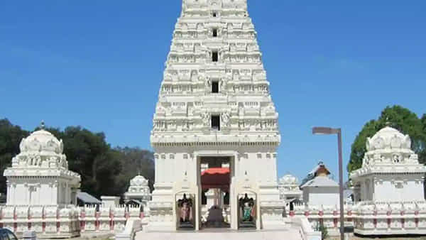 Vemulawada: భీమేశ్వర ఆలయంలో మరోమారు ప్రత్యక్షమైన నాగరాజు.. పాము భయంతో పరుగులు తీసిన భక్తులు!