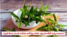 నల్లటి కేశాల నుండి కాలేయ ఆరోగ్యం వరకు..భృంగరాజ్‌తో ఇన్న లాభాలా?