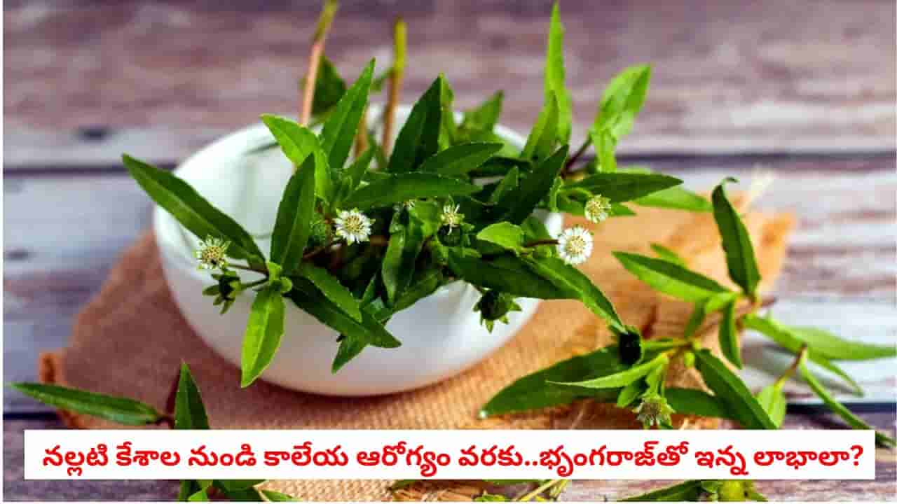 Bhringraj Benefits: భృంగరాజ్ కేవలం జుట్టుకే అనుకున్నారా? ఈ ఆయుర్వేద రహస్యం తెలిస్తే షాక్ అవుతారు!