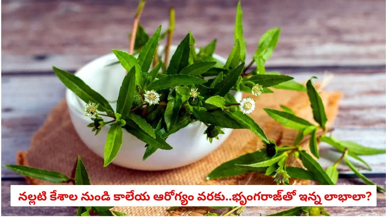 Bhringraj Benefits: భృంగరాజ్ కేవలం జుట్టుకే అనుకున్నారా? ఈ ఆయుర్వేద రహస్యం తెలిస్తే షాక్ అవుతారు!