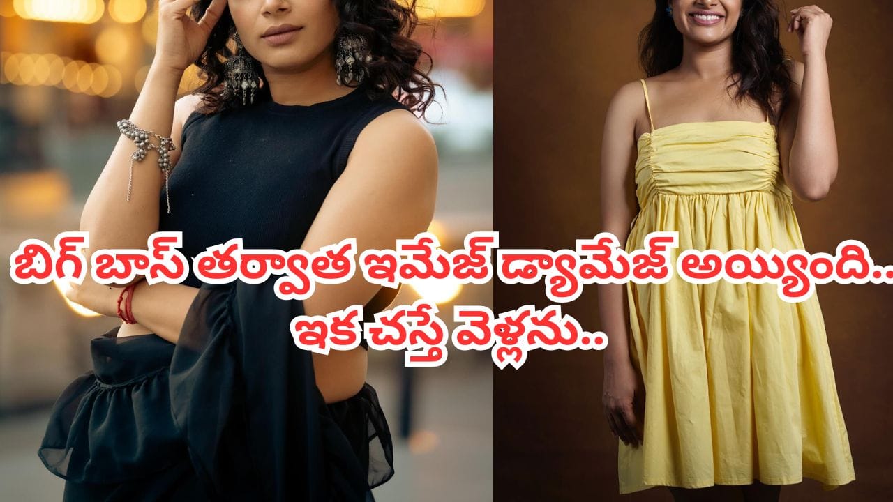 Bigg Boss : రెండుసార్లు బిగ్ బాస్ వెళ్లా.. ఇమేజ్ డ్యామేజ్ అయ్యింది.. ఇక చస్తే వెళ్లను.. టాలీవుడ్ నటి..