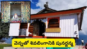 పిడుగు పడినా ఏమీ కాదు.. ప్రతి 12 ఏళ్లకోసారి జరిగే బిజ్లీ మహాదేవ్