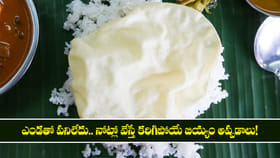 ఎండతో పనిలేదు.. నోట్లో వేస్తే కరిగిపోయే బియ్యం అప్పడాలు!