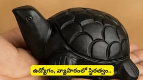 ఫెంగ్ షుయ్: ఇంట్లో నల్ల తాబేలును ఉంచితే కలిగే ప్రయోజనాలు.. ఏ దిశ